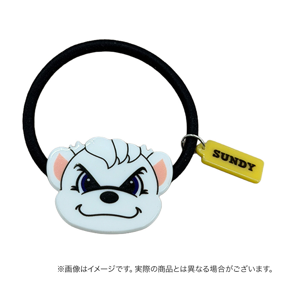 サンディーアセチヘアゴム 詳細画像 ‐ 2